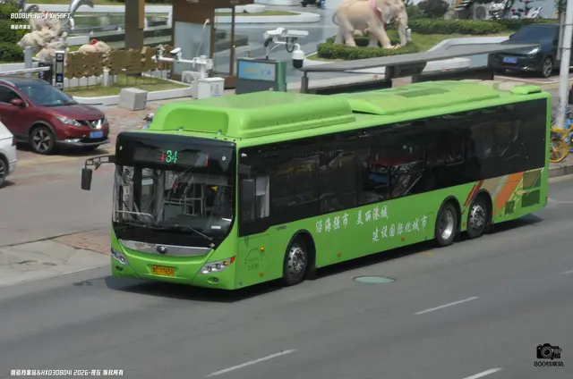 800BUS