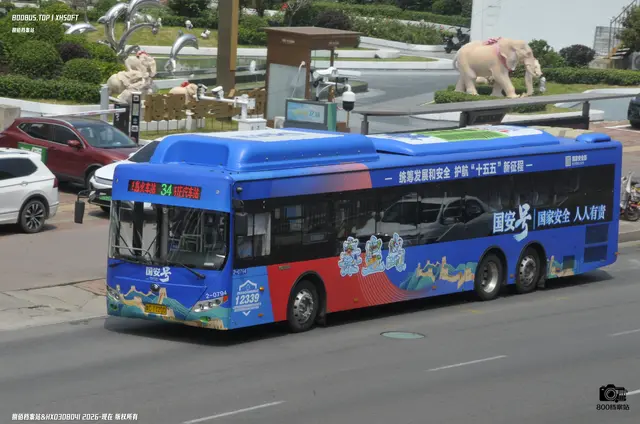 800BUS