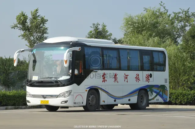 辽P A5200