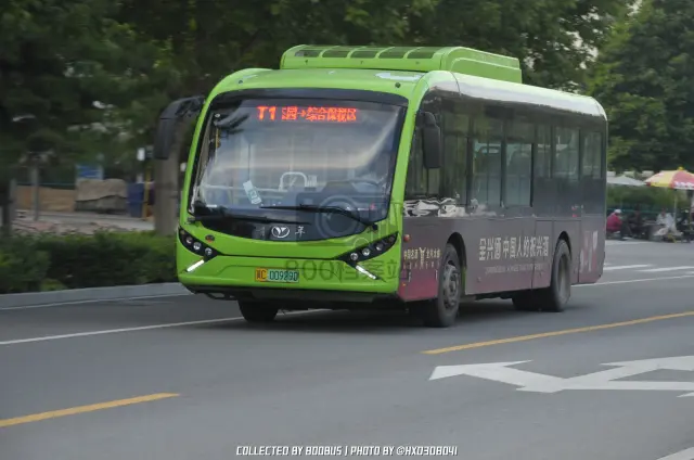 800BUS
