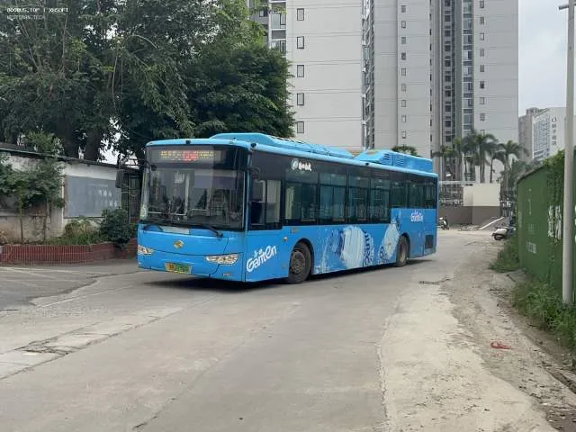 琼A 07900D