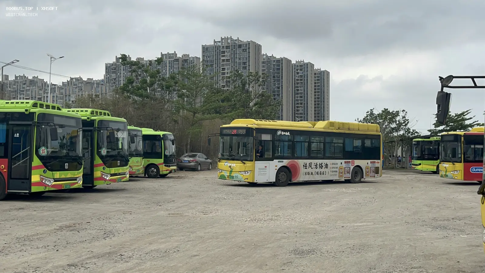 Bus Archive