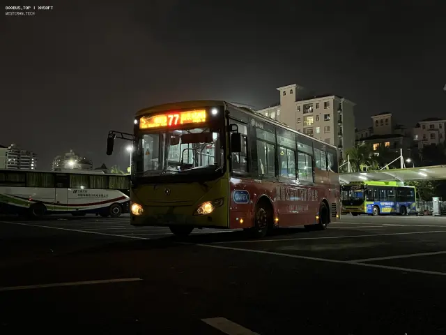 琼A 08309D