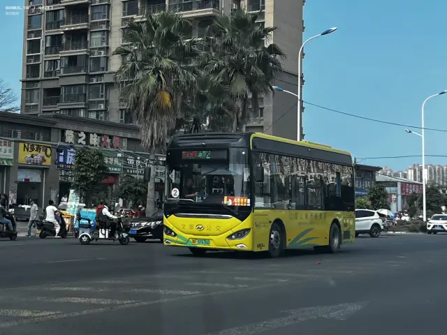 800BUS