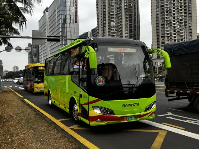 800BUS