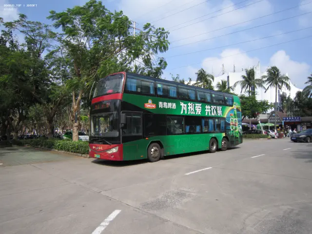 800BUS