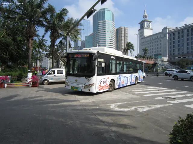 800BUS