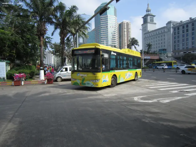 800BUS