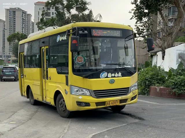 800BUS