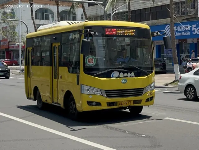800BUS