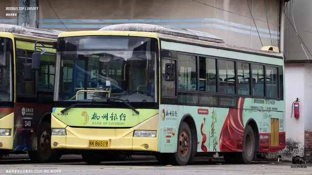 桂K B6519