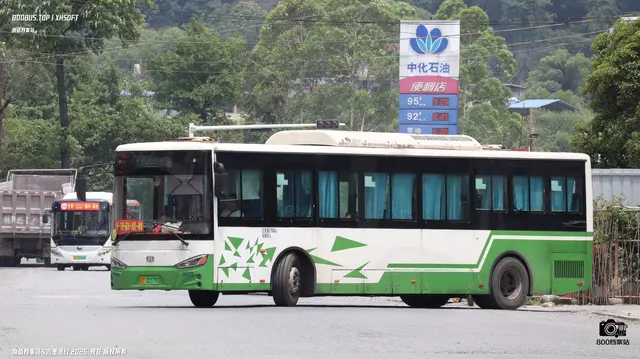 桂C 02379D