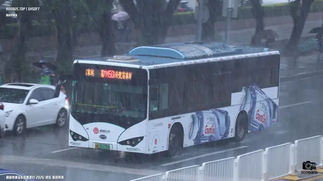 800BUS