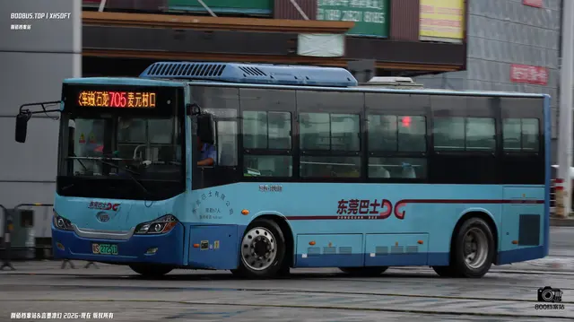800BUS