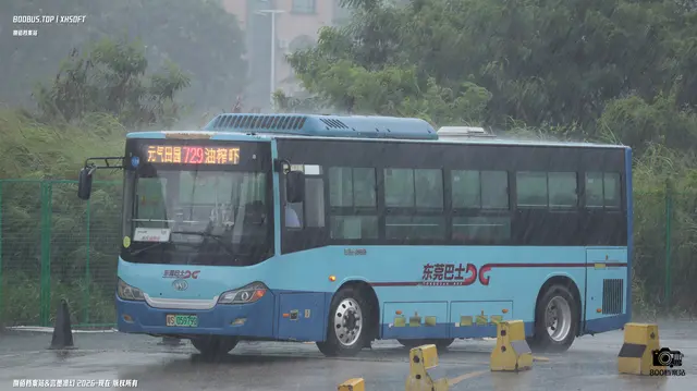 800BUS