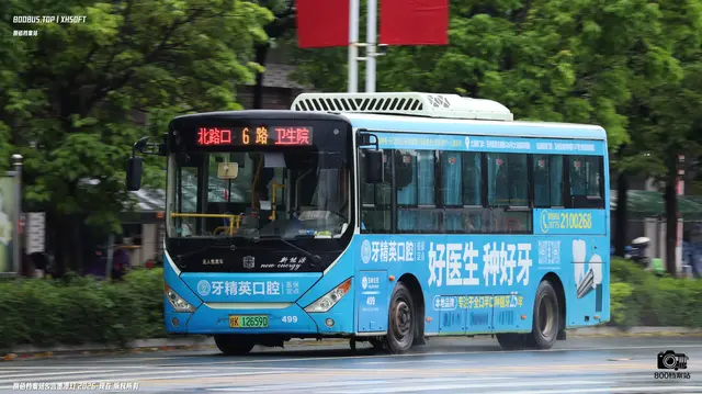 800BUS