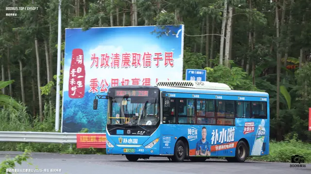 800BUS