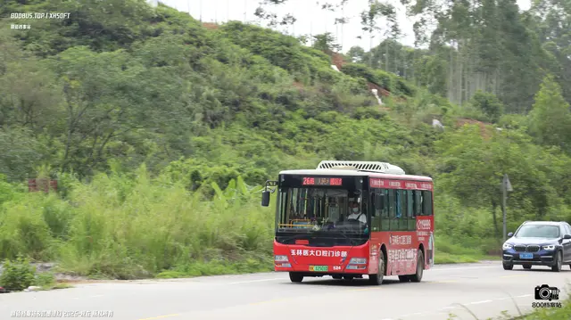 桂K 12501D