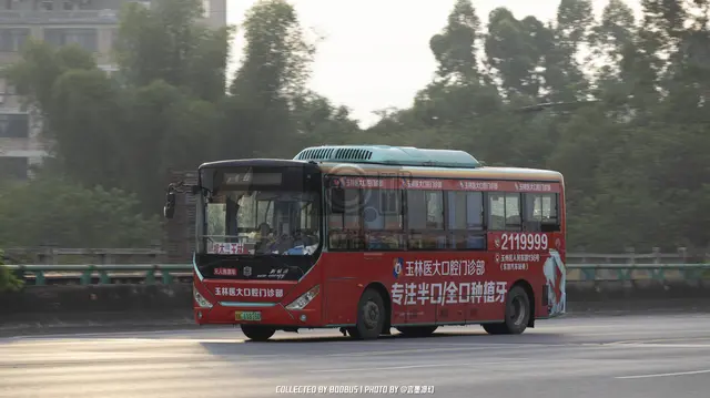 桂K 11816D