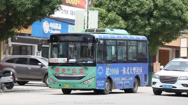 桂K 11853D