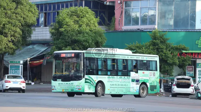 800BUS