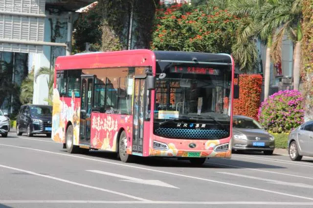 闽D09886D