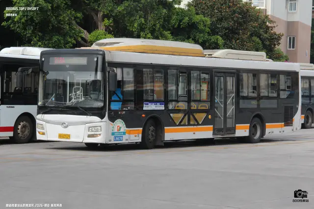 800BUS
