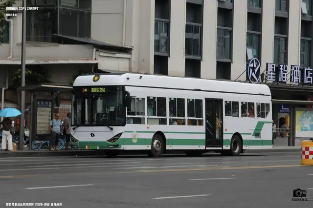 800BUS