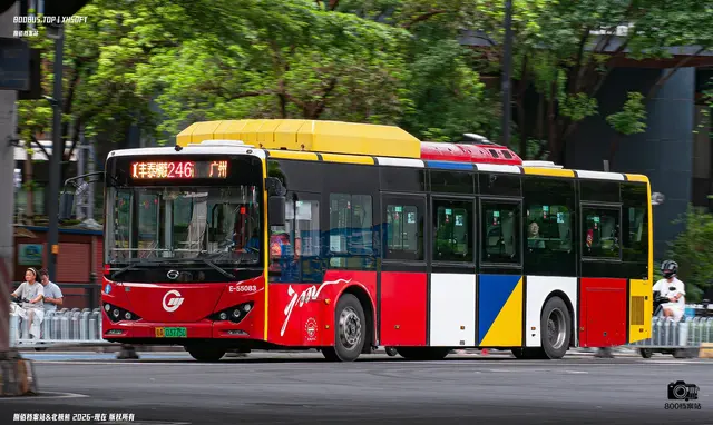 粤A   03775D