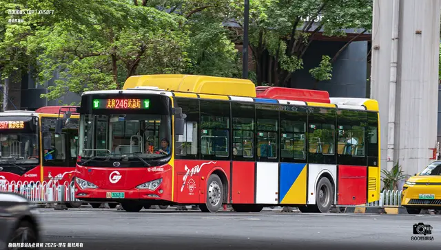 粤A  30621D