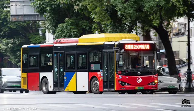 粤A 28593D