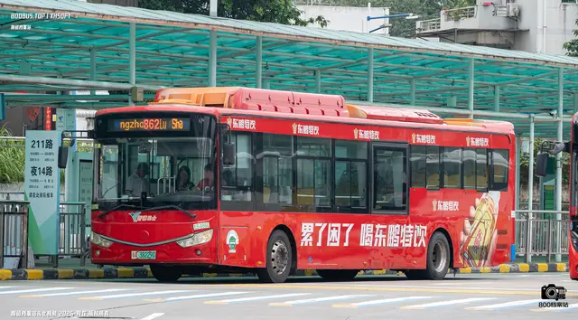 粤A  38229D