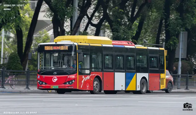 粤A  31641D