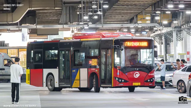 800BUS