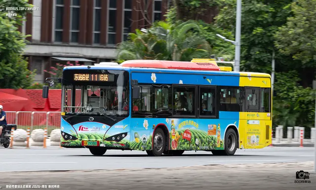 800BUS