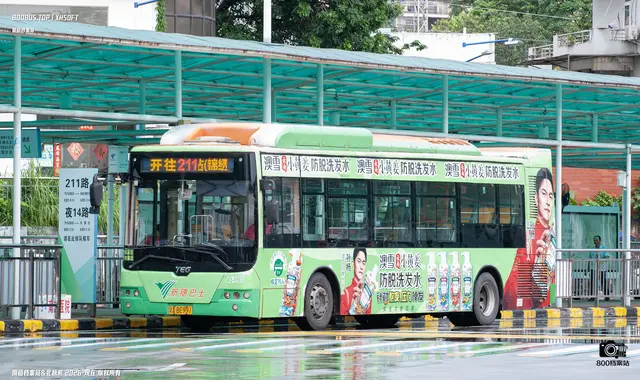 800BUS