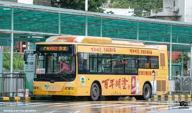 800BUS