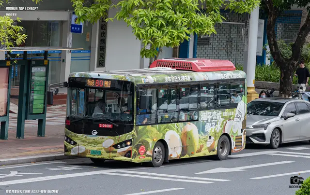 粤A 04696D