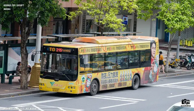 粤A AQ451