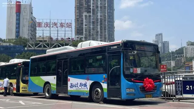 渝A 67387
