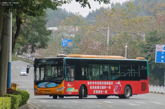 桂B·39388
