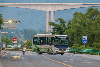 桂J 41362
