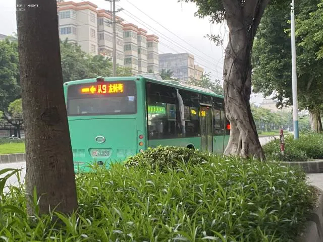 粤A21509D