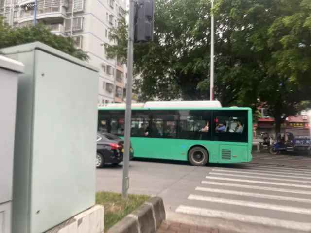 800BUS