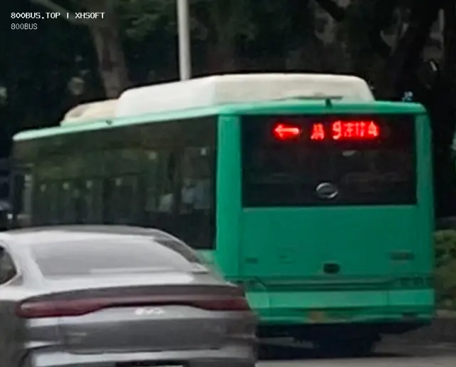 800BUS