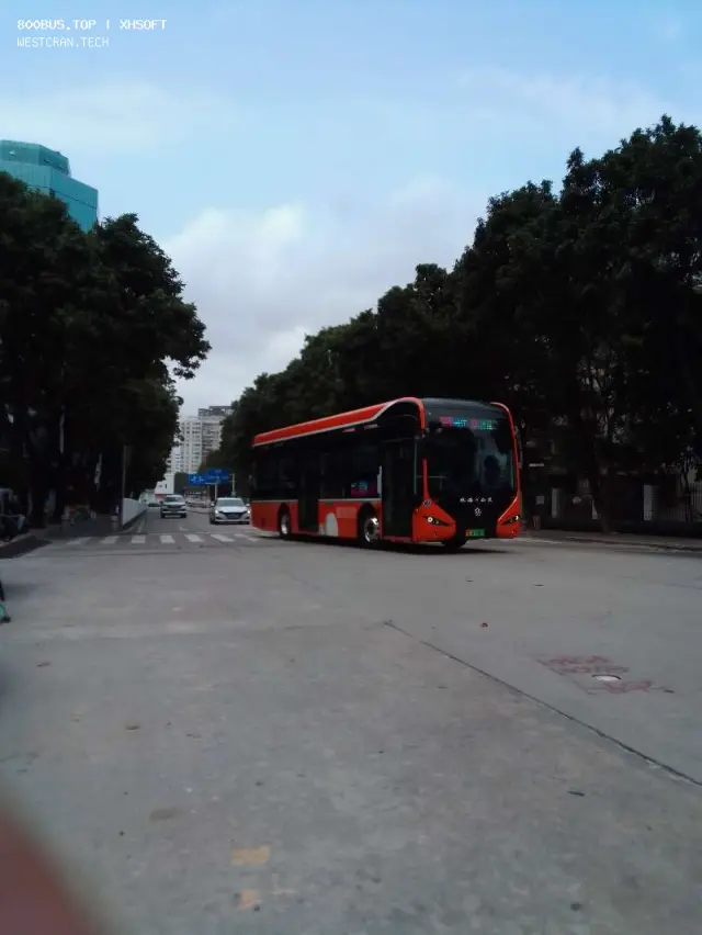 800BUS