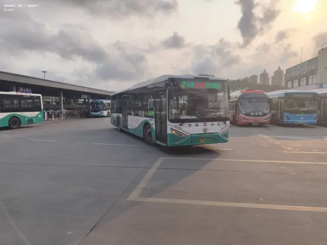 800BUS