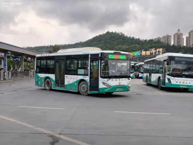 800BUS