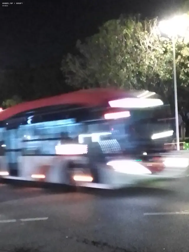 800BUS