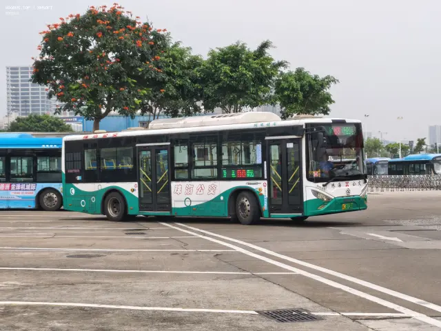 800BUS
